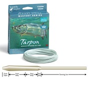 tarpon